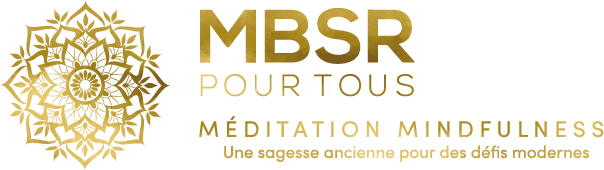 logo-mbsr-footer